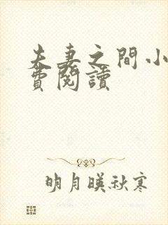 夫妻之间小说免费阅读