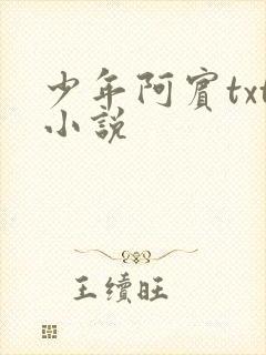 少年阿宾txt小说