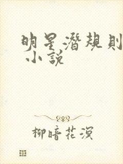 明星潜规则之皇 小说