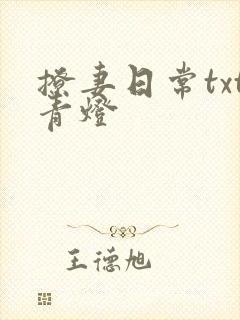 撩妻日常txt青灯