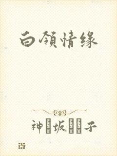 白领情缘