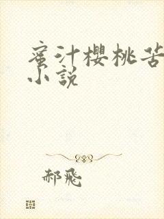 蜜汁樱桃苦咖啡小说