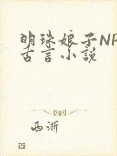 明珠娘子NPC古言小说