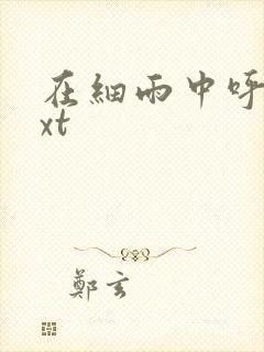 在细雨中呼喊txt