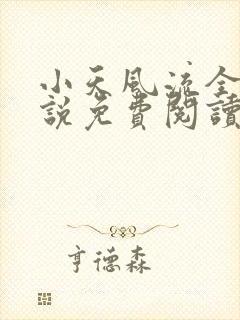 小天风流全集小说免费阅读