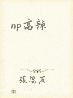 np高辣