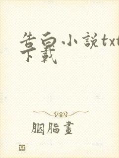 告白小说txt下载