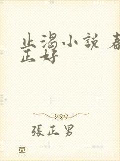 止渴小说 春光正好