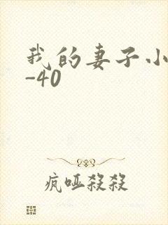 我的妻子小谨1-40