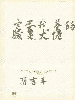 完蛋我养的小白脸是大佬