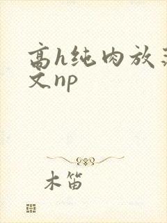 高h纯肉放荡h文np