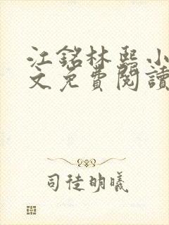 江铭林熙小说全文免费阅读