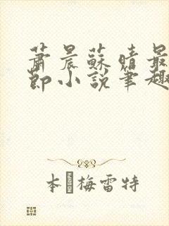 萧晨苏晴最新章节小说笔趣阁