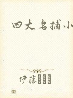 四大名捕小说