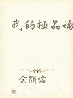 我的极品娇妻