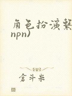 角色扮演系统(npn)