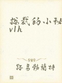 总裁的小秘书1v1h