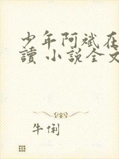 少年阿斌在线阅读 小说全文免费