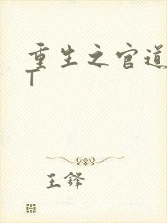重生之官道TXT