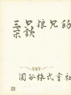 三只狼兄的宠妻宋钦