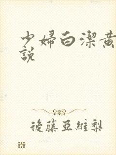 少妇白洁黄色小说