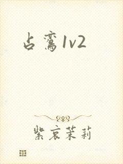 占鸾1v2