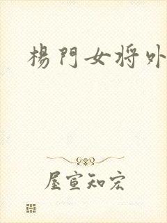 杨门女将外传
