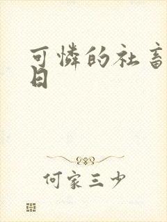 可怜的社畜东度日