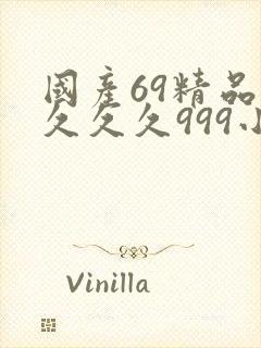 国产69精品久久久久999小说