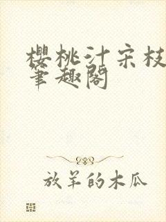 樱桃汁宋枝江野笔趣阁