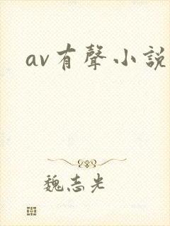 av有声小说