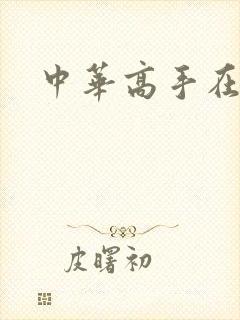 中华高手在异世