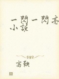 一闪一闪亮星星小说