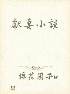 献妻小说