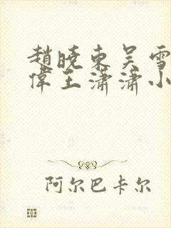 赵晓东吴雪晴郑伟王潇潇小说