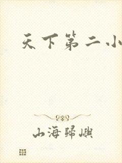 天下第二小说
