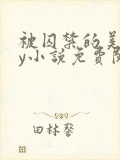 被囚禁的美人by小说免费阅读