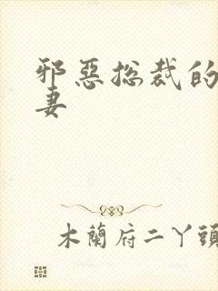 邪恶总裁的娇宠妻