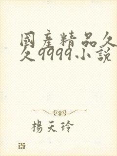 国产精品久久久久9999小说