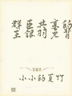 群臣共享的小公主银羽免背刺