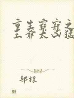 重生霸宠之摄政王爷太凶猛