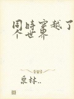 同时穿越了99个世界