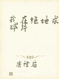 我在绝地求生捡碎片