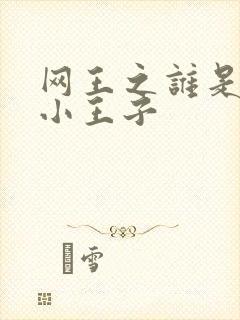 网王之谁是我的小王子