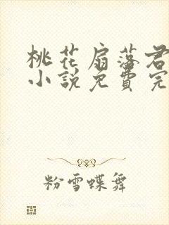 桃花扇落君不还小说免费完整版