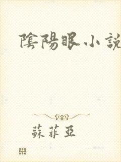 阴阳眼小说