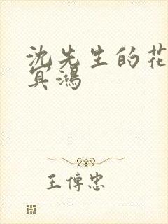 沈先生的花式调冥鸿