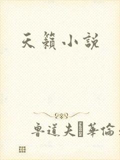 天籁小说