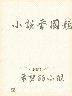 小说香国竞艳