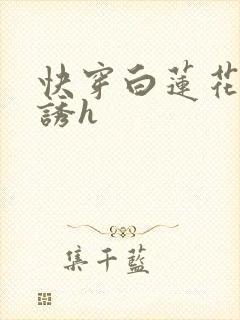 快穿白莲花的引诱h